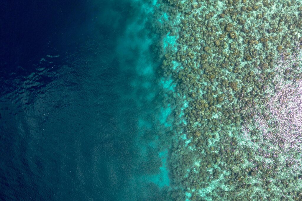 Aerial view of Maldives coral reef drop off best dive sites turquoise ocean