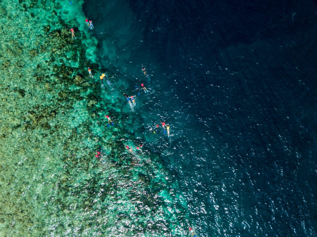 Maldives Travel Tips: house reef snorkeling group aerial view